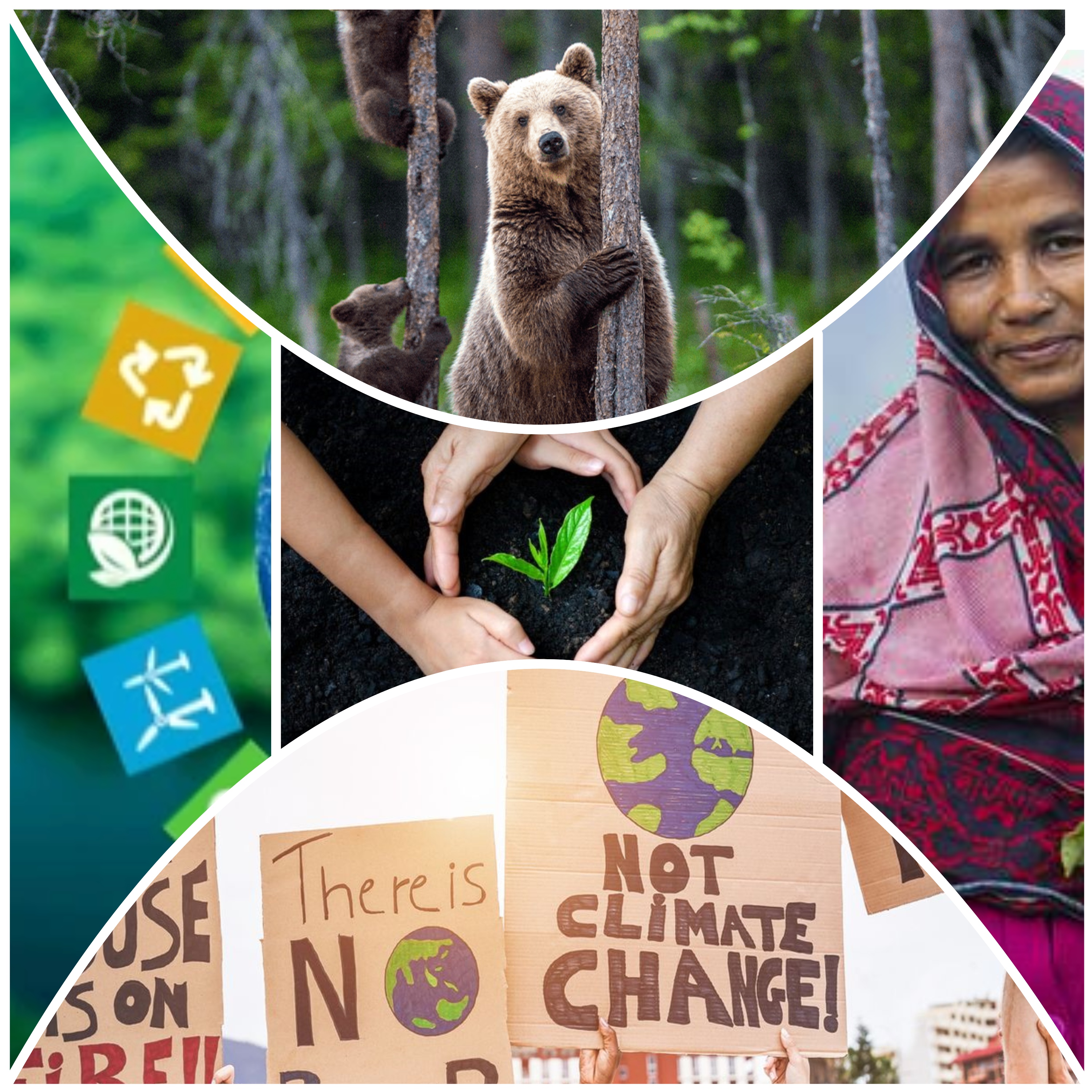 About Our Organization